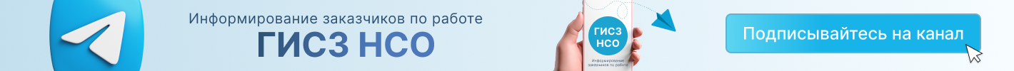 Ссылка на Telegram-канал ГИСЗ НСО