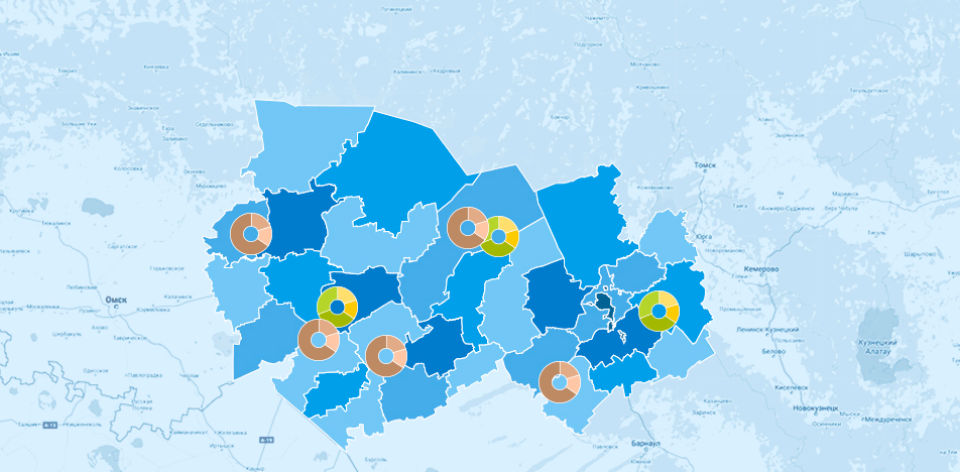 Закупки Новосибирской области